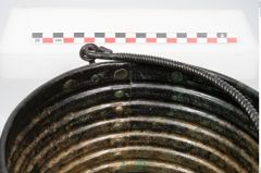 Foto von Bronzerippenziste (NHMW-PRAE-025670)